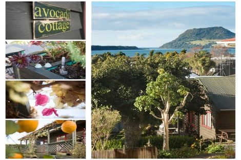 Photo of property in 28a Norton Road, Otumoetai, Tauranga, 3110