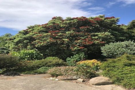 Photo of property in 7 Tenby Street, Moeraki, Palmerston, 9482