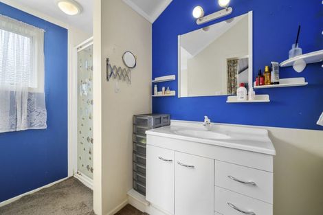 Photo of property in 19 Windsor Street, Springfield, Rotorua, 3015