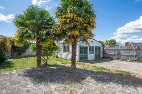 Photo of property in 117 Malfroy Road, Victoria, Rotorua, 3010