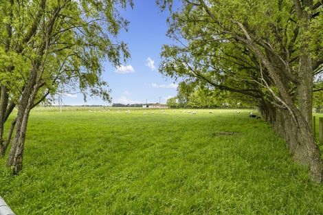 Photo of property in 1863 Rongotea Road, Kairanga, Palmerston North, 4475