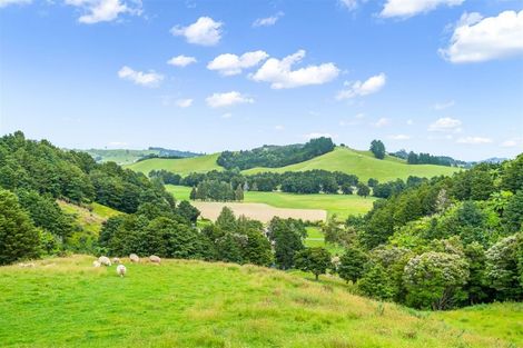 Photo of property in 362c Whananaki North Road, Opuawhanga, Hikurangi, 0181