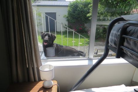 Photo of property in 3/15 Hutcheson Street, Nelson South, Nelson, 7010