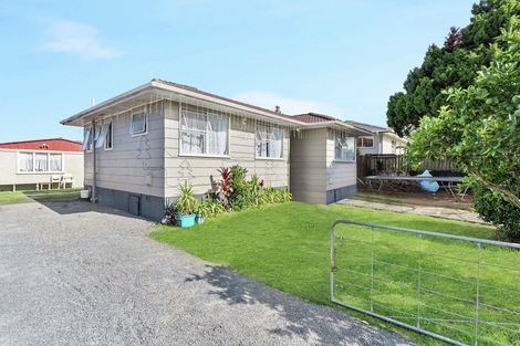 Photo of property in 103 Friedlanders Road, Manurewa, Auckland, 2102