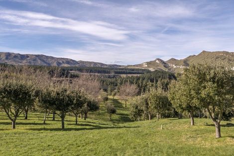 Photo of property in 101 Laidmore Road, Broomfield, 7482