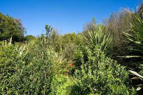 Photo of property in 34 Ihimaera Terrace, Leamington, Cambridge, 3432