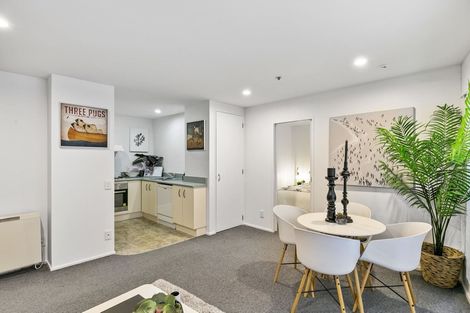 Photo of property in Courtenay Apartments, 201/120 Courtenay Place, Te Aro, Wellington, 6011