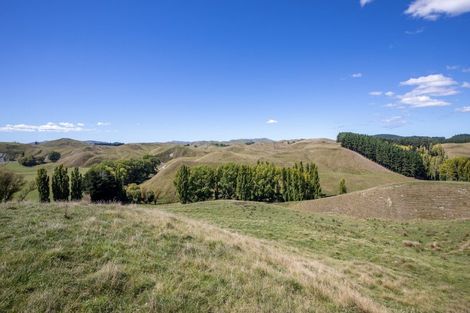 Photo of property in 300 Pattison Road, Akina, Hastings, 4122