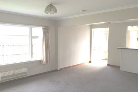Photo of property in 141 Sparks Road, Hoon Hay, Christchurch, 8025