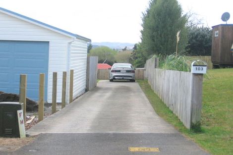 Photo of property in 103 Tobie Place, Whangamata, 3620