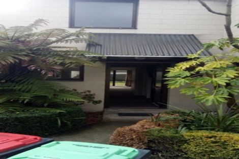 Photo of property in 1/116 Springfield Road, St Albans, Christchurch, 8014