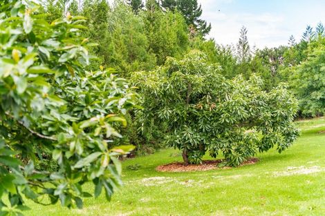 Photo of property in 381 Tara Road, Mangawhai, 0573