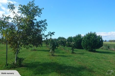 Photo of property in 324 Greig Road, Matata, Whakatane, 3194