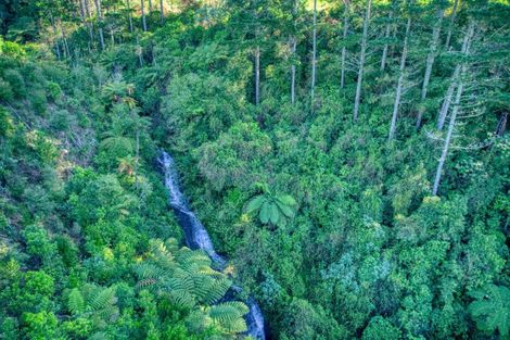 Photo of property in 299c Whakamarama Road, Whakamarama, 3179