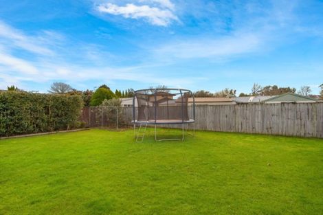 Photo of property in 19 Ashurst Avenue, Pukete, Hamilton, 3200