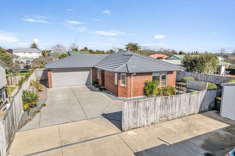 Photo of property in 33a Bridge Street, Whakatane, 3120