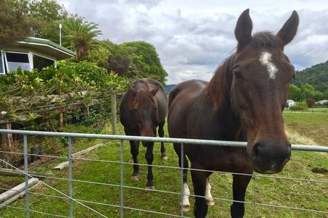 Photo of property in 22a Te Puroa Road, Ngaruawahia, 3793