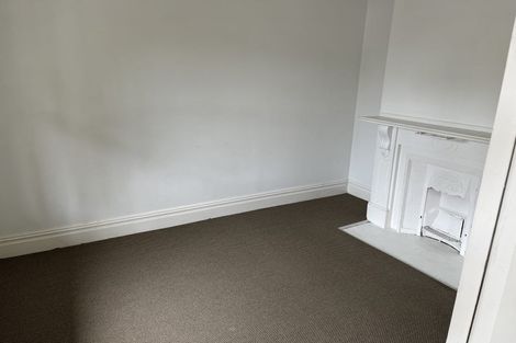 Photo of property in 28 Buchanan Street, Kingsland, Auckland, 1021