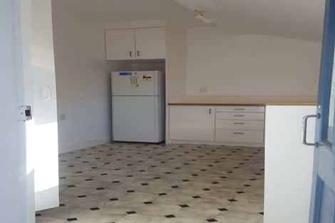 Photo of property in 113 Wallace Street, Mount Cook, Wellington, 6021