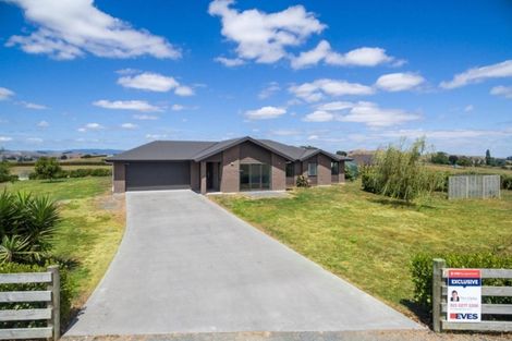 Photo of property in 163j Ngahape Road, Ngahape, Te Awamutu, 3873