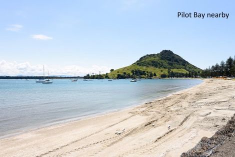 Photo of property in 40d Maunganui Road, Mount Maunganui, 3116