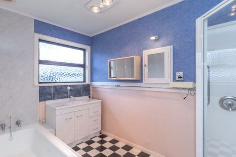 Photo of property in 19 Balmoral Street, Levin, 5510