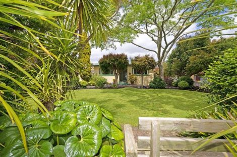 Photo of property in 20 Sherrybrooke Place, Sunnyvale, Auckland, 0612