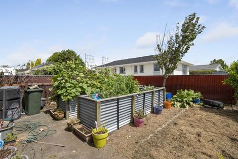 Photo of property in 6 Kahikatea Street, Inglewood, 4330