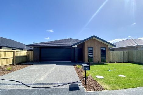 Photo of property in 5 Sarah Nicholls Street, Belfast, Christchurch, 8051