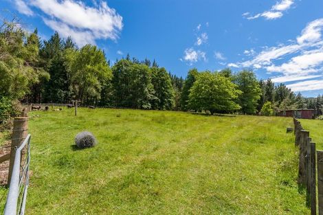 Photo of property in 1038 Oio Road, Owhango, 3990