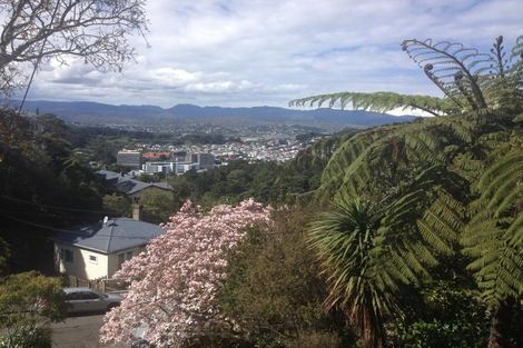 Photo of property in 35 Coolidge Street, Brooklyn, Wellington, 6021
