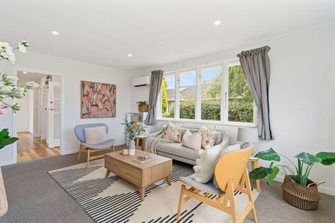 Photo of property in 6 Maire Street, Levin, 5510