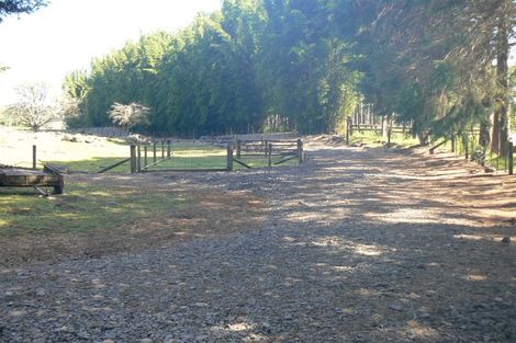 Photo of property in 255 Punakitere Road, Taheke, Kaikohe, 0473