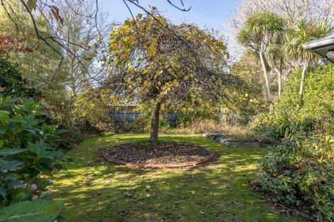 Photo of property in 61 Harris Crescent, Papanui, Christchurch, 8053