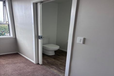 Photo of property in 13 Macnee Street, Mornington, Dunedin, 9011