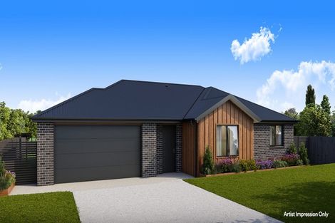 Photo of property in 43 Western Avenue, Omokoroa, 3114