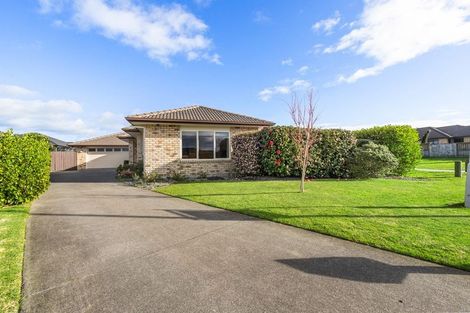 Photo of property in 60 Matipo Street, Matamata, 3400