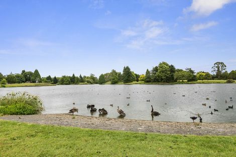 Photo of property in 13 Pukeko Place, Tokoroa, 3420