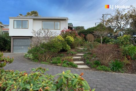 Photo of property in 103 Shetland Street, Wakari, Dunedin, 9010