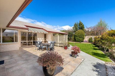 Photo of property in 24 Elmwood Avenue, Witherlea, Blenheim, 7201