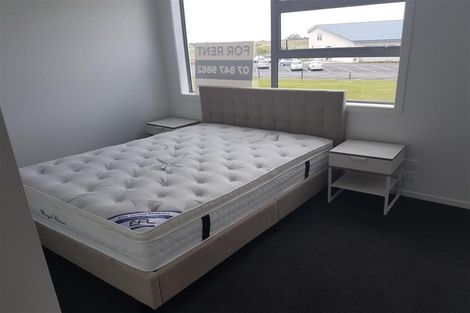 Photo of property in 28 Portland Lane, Chartwell, Hamilton, 3210