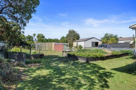 Photo of property in 24a Mckenzie Street, Levin, 5510