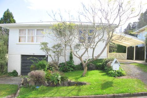 Photo of property in 105 Graham Street, Thames, 3500