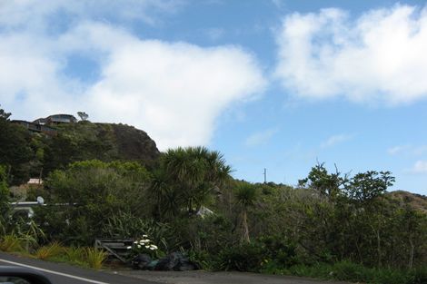 Photo of property in 71 Piha Road, Piha, New Lynn, 0772