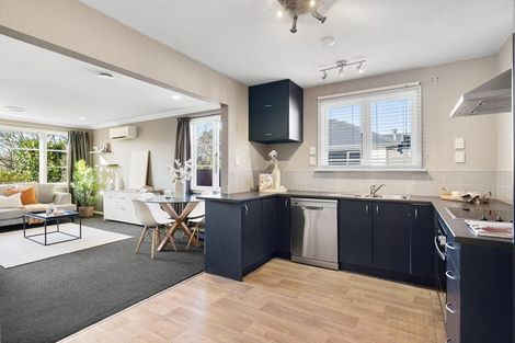 Photo of property in 25 Aurora Street, Hei Hei, Christchurch, 8042