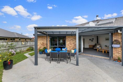 Photo of property in 14 Wilson Street, Renwick, 7204