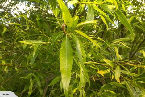 Photo of property in 12 Caulfeild Street, Ranfurly, 9332