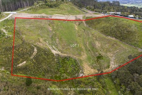 Photo of property in 177 Wishart Road, Helensville, 0875