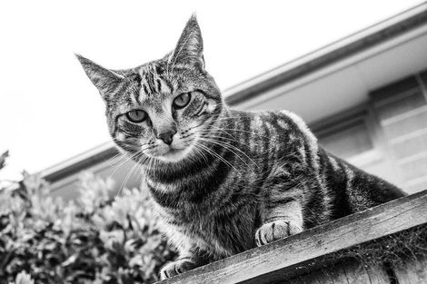 Photo of property in 212a Lincoln Road, Addington, Christchurch, 8024