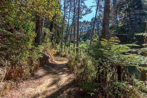 Photo of property in 142 Wade River Road, Wade Heads, Whangaparaoa, 0932